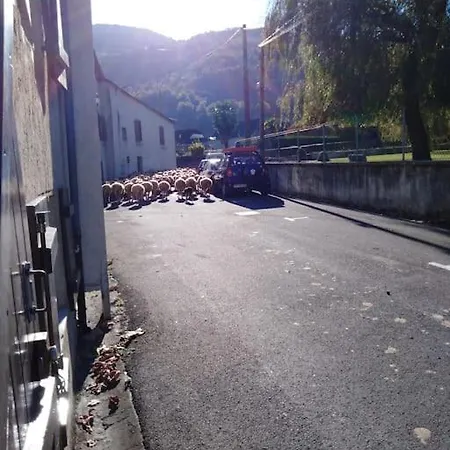 Maison De Montagne, Vallee D'ossau Ferienhaus