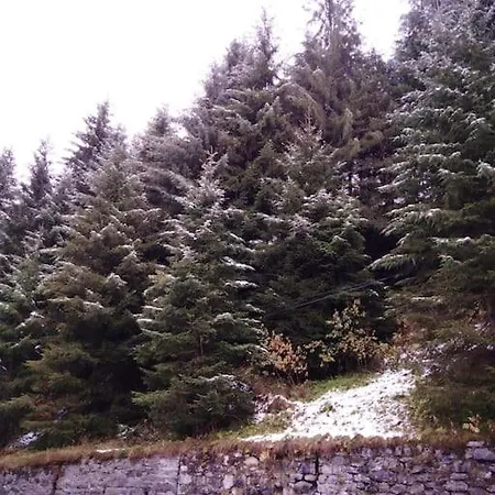 Maison De Montagne, Vallee D'ossau Ferienhaus *